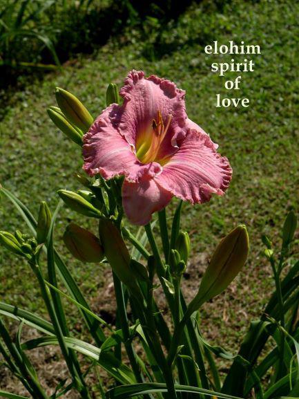 spirit of love solo rs